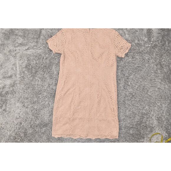 Ann Taylor Beige Shift Dress Size 2P Petite Nylon Floral Short Sleeve Zip - Picture 3 of 7